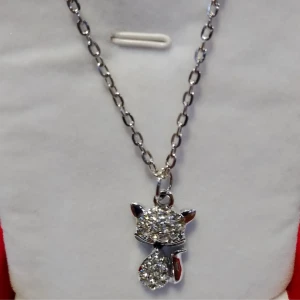 Collier non inoxydable 