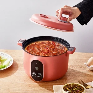 Cuiseur Electrique Multifonctionnel pour la Cuisine 20cm – جهاز ط