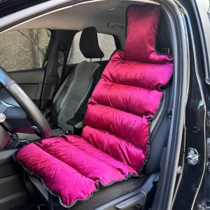 Housse de Protection Siège Auto en Velours Rembourrée Confortable