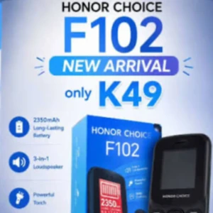 Honor F102