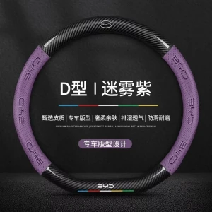 غلاف ستيرن BYD حرف D