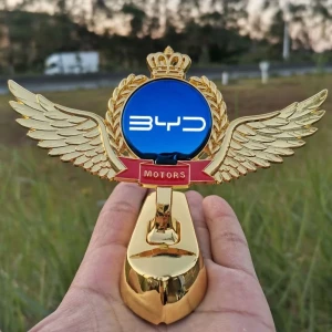 شعار حديد خاص بسيارة BYD